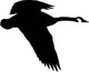 Canadian Goose Flight Bird Wall Decal