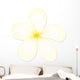 Flower Wall Decal