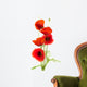 poppies on white - red poppy, floral design Wall Decal