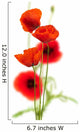 poppies on white - red poppy, floral design Wall Decal