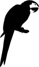 Parrot Standing Branch Bird Wall Decal