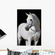 White Arabian Horse Stallion Wall Decal