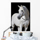 White Arabian Horse Stallion Wall Decal