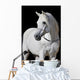 White Arabian Horse Stallion Wall Decal