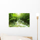 Mountain stream Wall Mural
