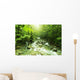 Mountain stream Wall Mural
