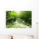 Mountain stream Wall Mural