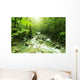 Mountain stream Wall Mural