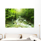 Mountain stream Wall Mural