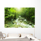 Mountain stream Wall Mural