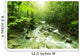 Mountain stream Wall Mural