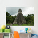 Tikal Ruins Guatemala Wall Decal