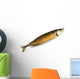 Smoked Fish Isolated on White Wall Decal