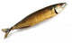 Smoked Fish Isolated on White Wall Decal