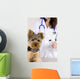Vetrinarian Dog Wall Mural