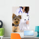 Vetrinarian Dog Wall Mural