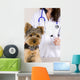 Vetrinarian Dog Wall Mural
