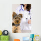 Vetrinarian Dog Wall Mural
