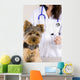 Vetrinarian Dog Wall Mural