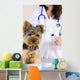 Vetrinarian Dog Wall Mural
