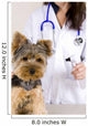Vetrinarian Dog Wall Mural