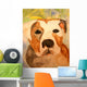 Pit Bull Wall Mural