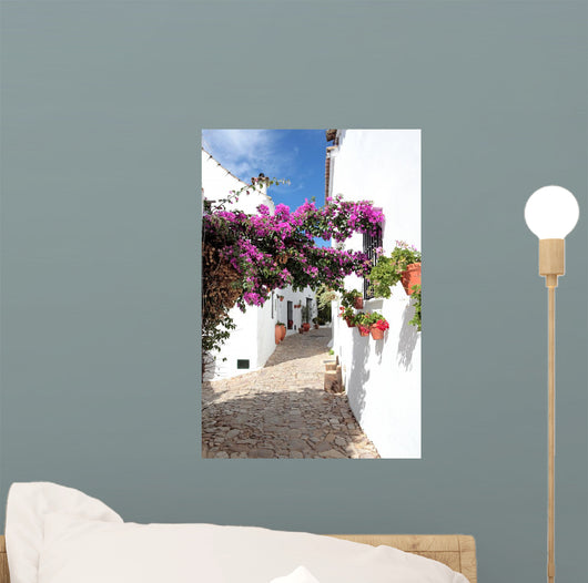 narrow, cobbled streets and houses of spanish pueblo Wall Mural