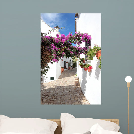 narrow, cobbled streets and houses of spanish pueblo Wall Mural