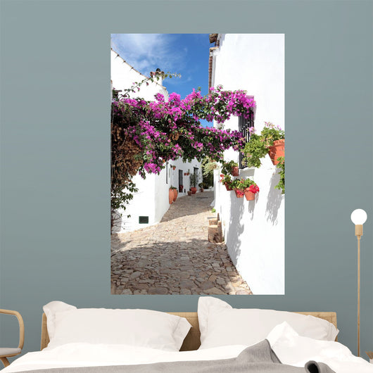narrow, cobbled streets and houses of spanish pueblo Wall Mural