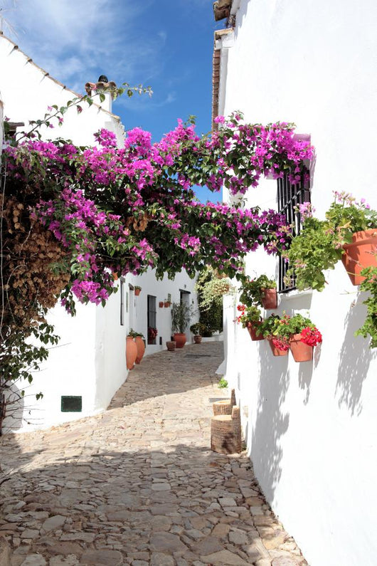 narrow, cobbled streets and houses of spanish pueblo Wall Mural