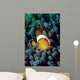 Clown Fish Wall Mural