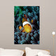 Clown Fish Wall Decal