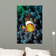 Clown Fish Wall Mural