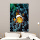 Clown Fish Wall Decal