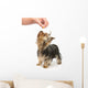 Training Wall Decal