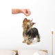 Training Wall Decal