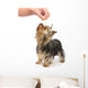 Training Wall Decal