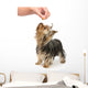 Training Wall Decal