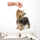 Training Wall Decal