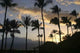 Palm Tree Sunset Wall Decal
