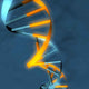 dna doppelhelix Wall Mural