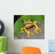 Red Eyed Green Tree Frog Wall Mural