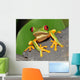 Red Eyed Green Tree Frog Wall Mural