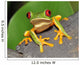 Red Eyed Green Tree Frog Wall Mural