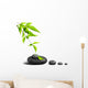 Zen Stones Bamboo Wall Decal