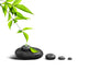 Zen Stones Bamboo Wall Decal