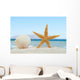 Sea shell and starfish on the beach Wall Mural