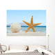 Sea shell and starfish on the beach Wall Mural