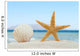 Sea shell and starfish on the beach Wall Mural