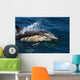 Common Dolphin Jumping Wall Mural